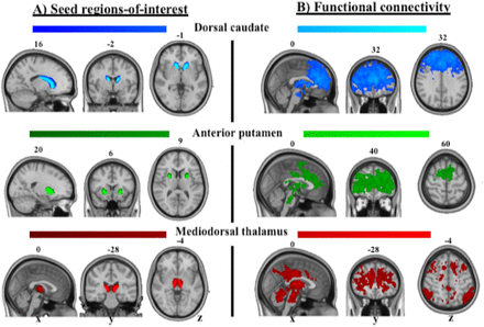 Figure 1: