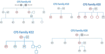 Fig 1.