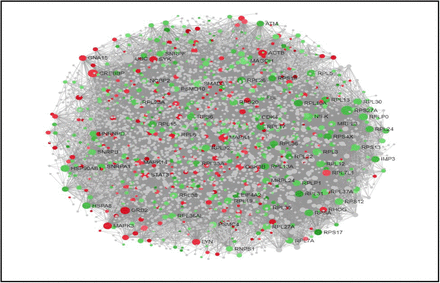 Figure 4: