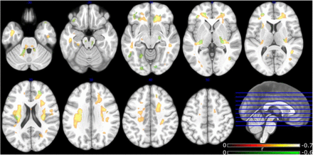 Figure 5.