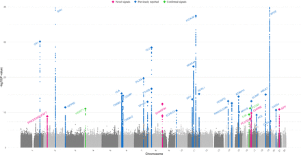 Figure 2: