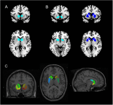 Figure 3.