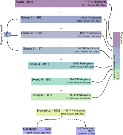 Figure 2: