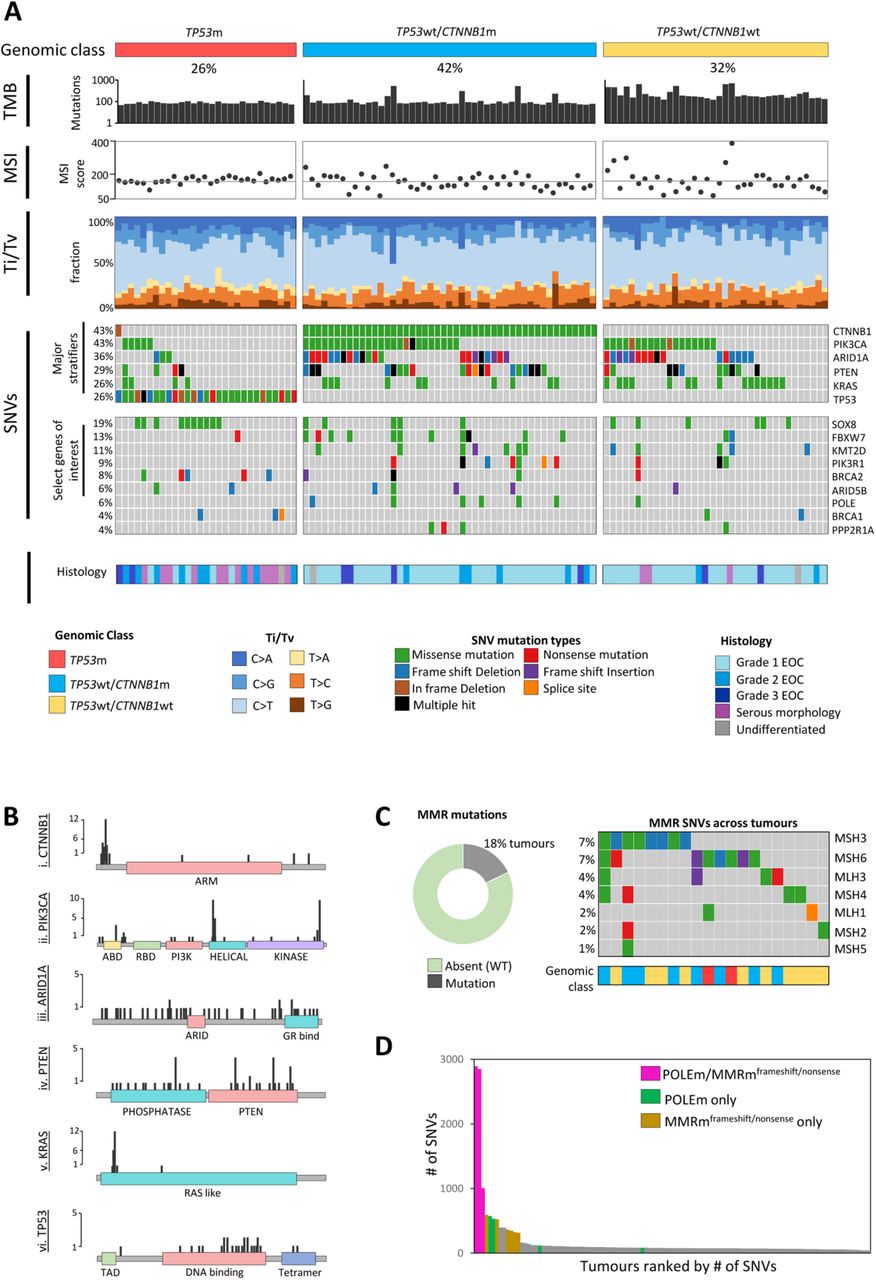 Disease-specific overall survival in endometrioid ovarian