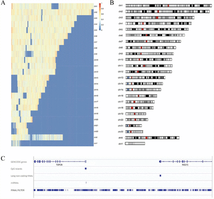 Figure 1: