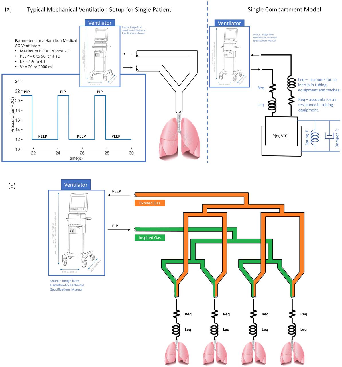 Use of a Single Ventilator to Support Multiple Patients: Modeling Tidal  Volume Response to Heterogeneous Lung Mechanics