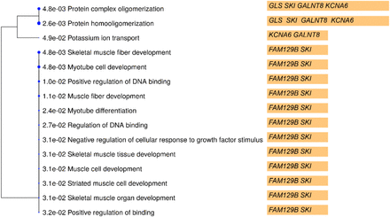 Figure 3: