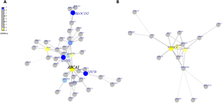 Figure 4: