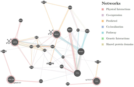 Figure 6: