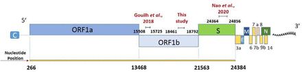 Fig. 1: