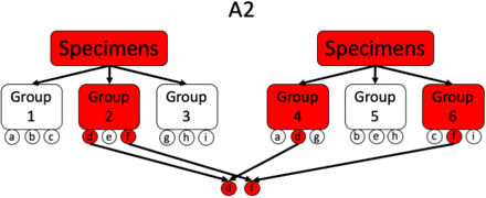 Figure 4: