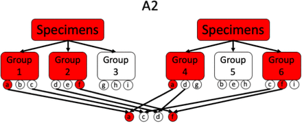 Figure 5: