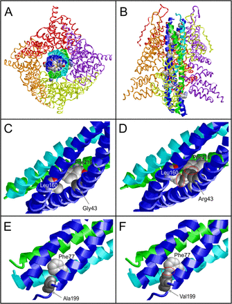 Fig. 2: