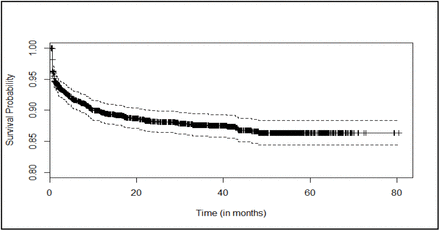 Graph 1: