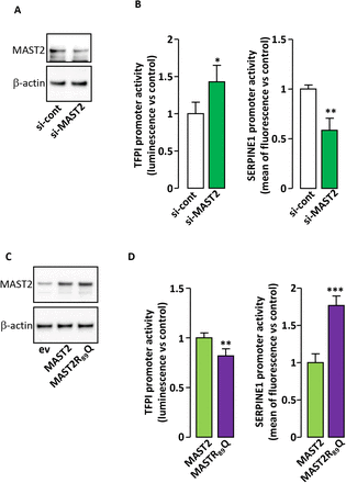 Figure 5: