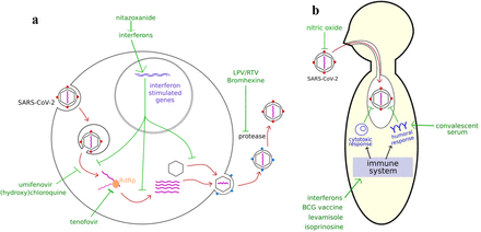 Figure 2: