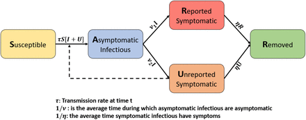 Figure 2: