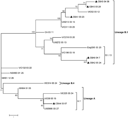 Figure 1.