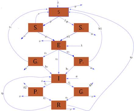 Figure 2: