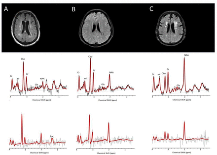 Figure 1: