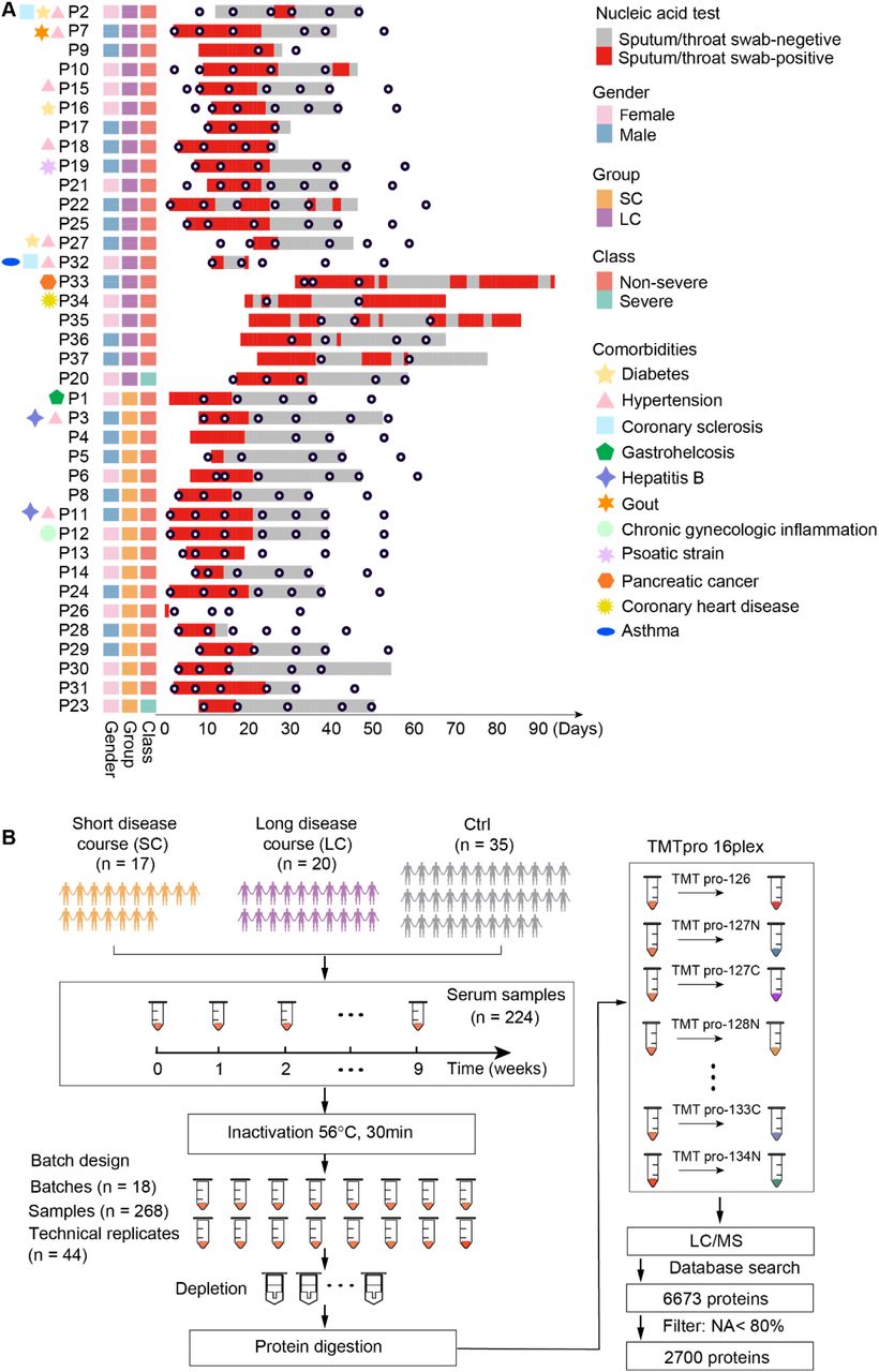 Proteomics Uncovers Immunosuppression In Covid 19 Patients With Long Disease Course Medrxiv