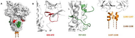 Fig 3.