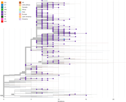 Extended Data Fig 6.