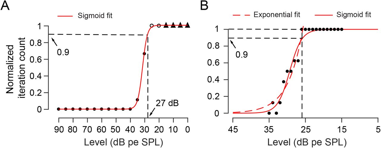 Automated cortical auditory evoked potentials threshold estimation in  neonates☆