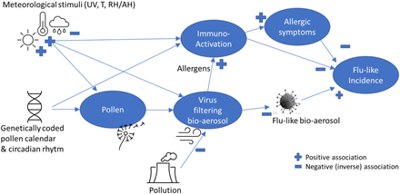 Figure 1: