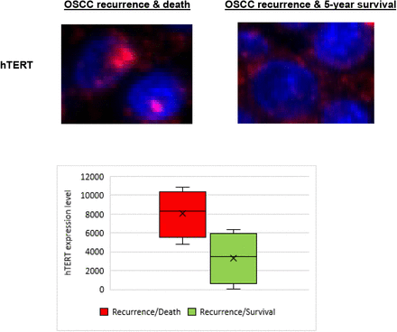 Figure 3a.