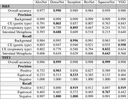 Table S1: