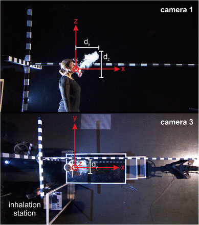 Figure 3: