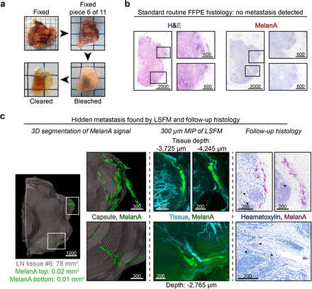 Figure 5: