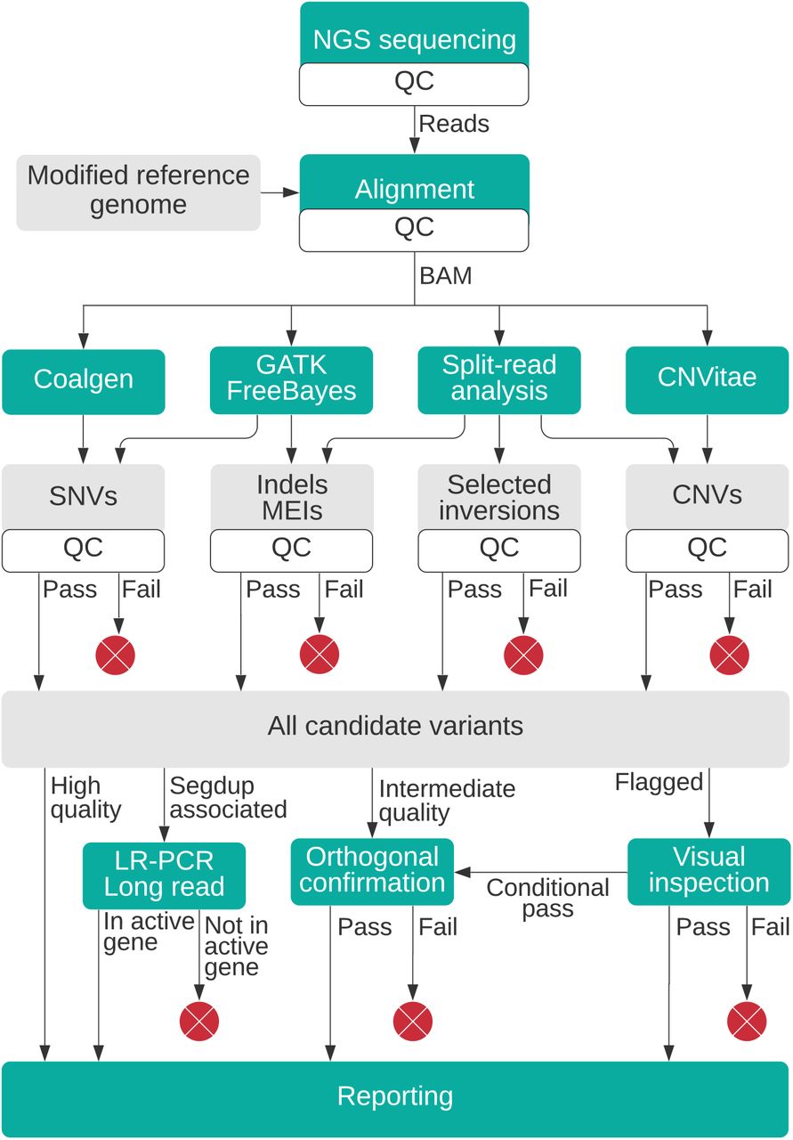 Frontiers  Development of an AmpliSeqTM Panel for Next-Generation  Sequencing of a Set of Genetic Predictors of Persisting Pain