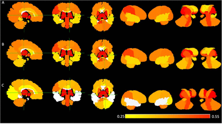 Figure 2: