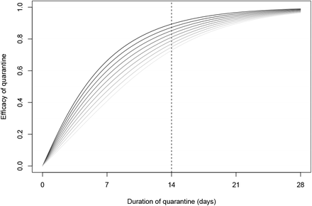 Figure 7: