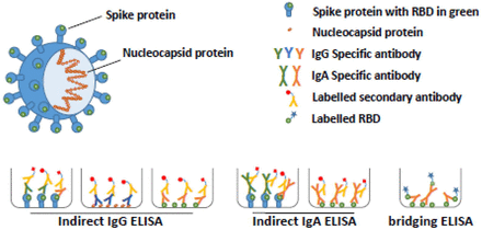 Figure 1: