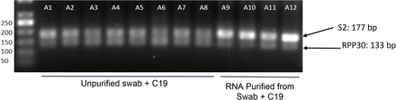 Figure S12.