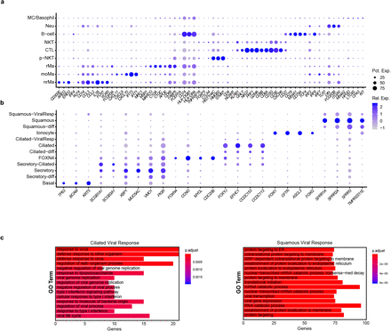 Extended Data Figure 2: