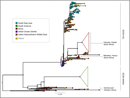 Figure 5: