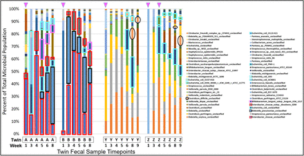 Fig 2.