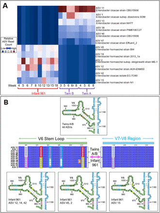 Fig 4.