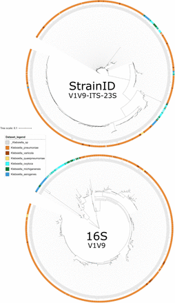 Fig 6.