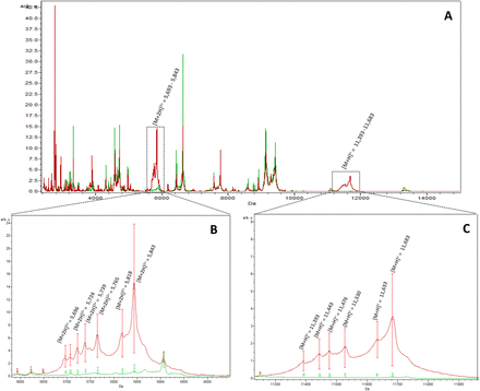 Figure 5: