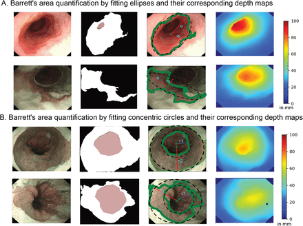 Supplementary Figure 3.