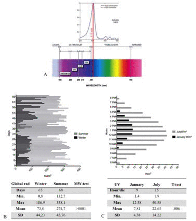 Figure 3: