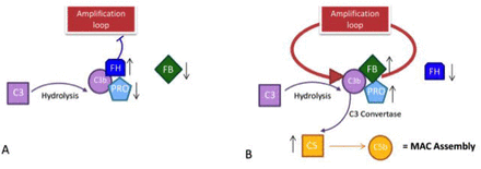 Figure 5: