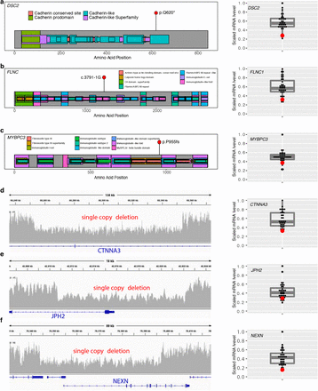 Figure 2: