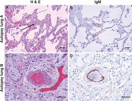 Figure 4: