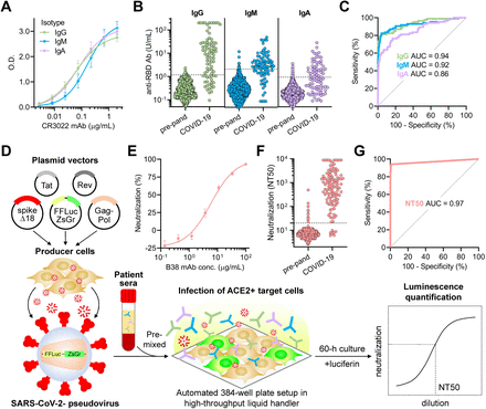 Figure 2: